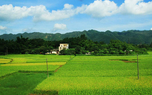 實(shí)驗(yàn)田風(fēng)采